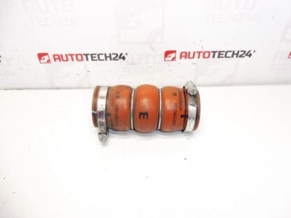 Hadice turba Citroën Peugeot DS 9801280680 0382GV