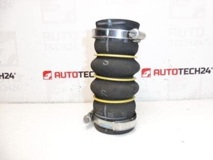 Hadice turba Citroën Peugeot DS 9685319980 9801280680 0382GW