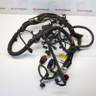 Svazek Citroën Peugeot 2.2 HDI 1498602080 656939