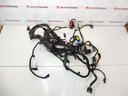 Motorový svazek Citroën C5 X7 2.0 HDI 9663479480